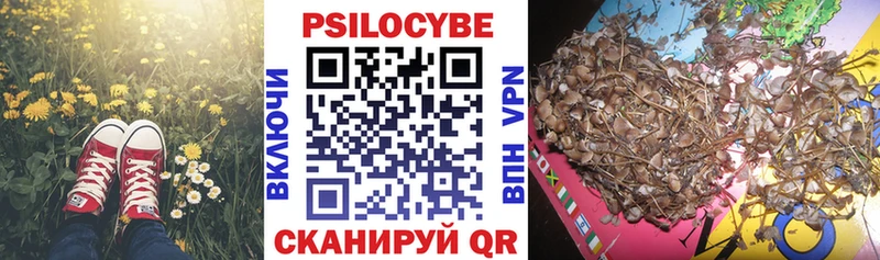 blacksprut маркетплейс  наркотики  Братск  Псилоцибиновые грибы Cubensis 