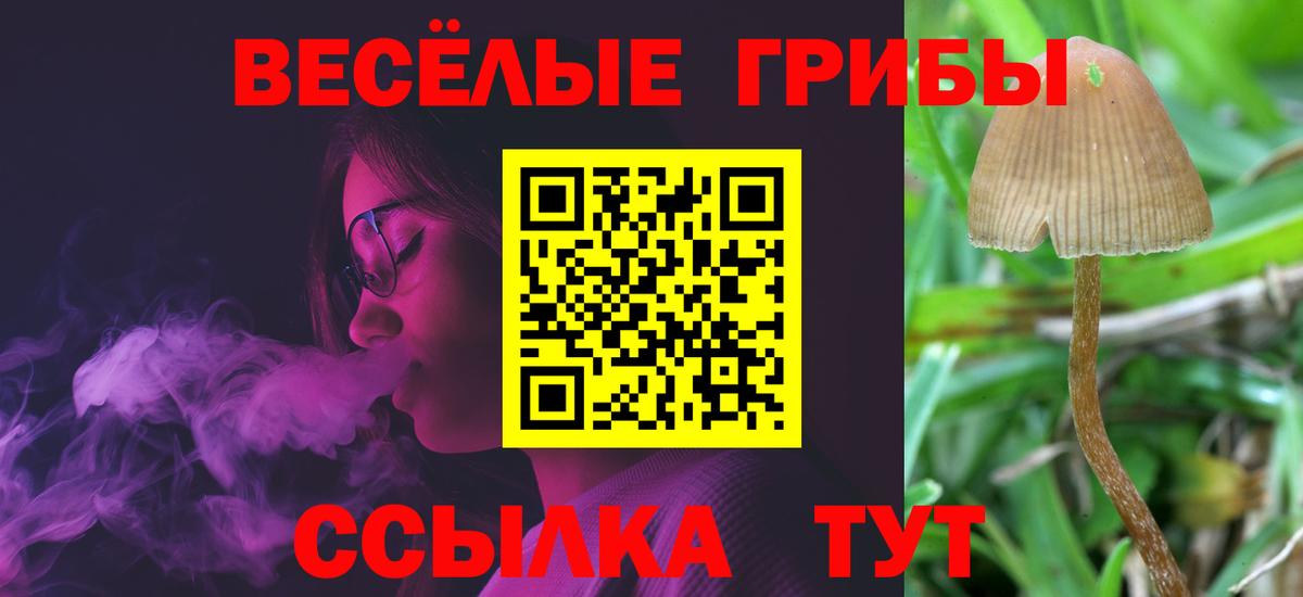 Галлюциногенные грибы прущие грибы  Галлюциногенные грибы Cubensis  Братск  где продают   Вход с VPN 